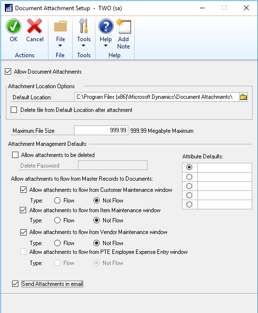 Setting up the Document attachment setting in ERP system